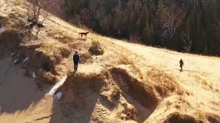 Arcadia Dunes
