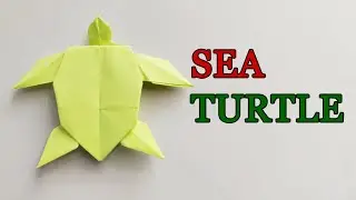 Sea Turtle Origami Craft (Marc Vigo)