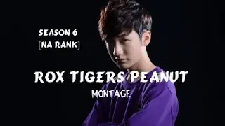 [NA RANK] ROX PEANUT  MONTAGE - SEASON 6  WCS