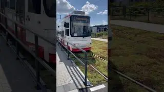 Stra&szlig;enbahn Zwickau #strassenbahn #deutsch #deutschland #oktoberfest #train #dbtrains