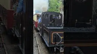 Trains crossing on the Ffestiniog Railway, 8 August 2023 #shorts