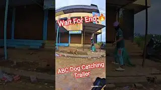 Flash Running Dog Catching Trailer #dog #running #flash #dogwithpublicsafety #ytviral