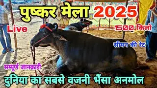 Pushkar Mela 2025 live || पुष्कर पशु मेला 2025 || Pushkar Pashu Mela 2025 || Pushkar Mela 2025