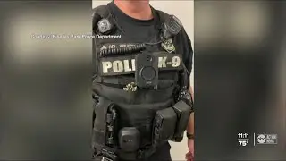 Pinellas Park police test out body cameras