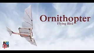 Ornithopter | Rubber Band Powered | Flying Bird | Mechanical Bird | Windup Bird | Flapping mechanism