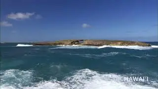 Experience Hawaii - Hawaii's HD Channel 1001 Live Stream