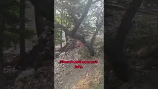 Когда молодёжь выходит на улицы, перемены неизбежны 💪