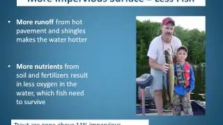 Impacts of Impervious Surfaces on Fish Only