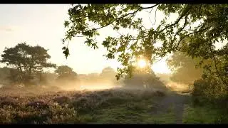 1 HOUR Fresh Morning Music ☀️ Happy Morning Playlist | Indie/Pop/Folk/Acoustic