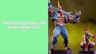 PRE-ORDER | PCS | Street Fighter PVC Statues 1/10 Cammy & Birdie 24 cm