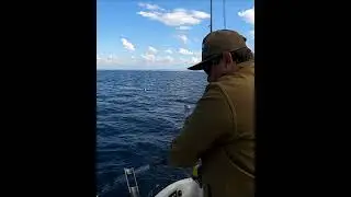 Halibut fishing in Norway