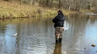 WE WAS ON EM!!! (Blue springs trout fishing!!)