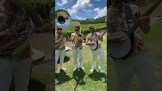 Roaming TRIO SIMPLY HYBRID - Summer Vibes