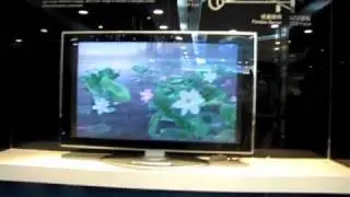 3-dimensional TV set. The latest secret Chinese invention