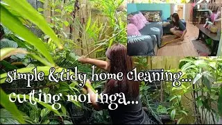 SIMPLE & TIDY HOME CLEANING/UNBOXING/CUTTING MORINGA TREE/@madels9660 