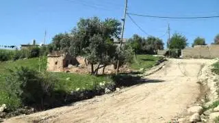 saad baadri 2012  _ baadre 2012