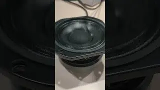 Speaker DEXO SYT5D01  #rentalsoundsystem #audiosystem #soudsystem #audiorental #electronicmusi #DEXO
