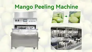 Best Mango Peeling Machine at Best Price | How Do You Peel A Mango?
