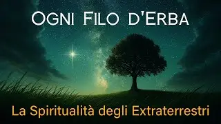 Ogni Filo d'Erba - La Spiritualit&agrave; degli Extraterrestri