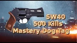 Battlefield 4 | SW40 Mastery Dog Tag