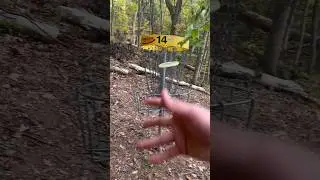 When Tapping In For A Birdie Goes Completely Wrong!! #subscribe #nature #discgolf #tennessee #fail