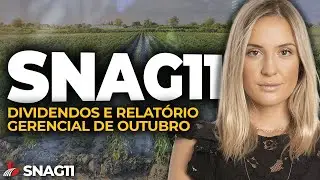 🌱 SNAG11: Dividendos e Relat&oacute;rio Gerencial de Outubro | Amanda Coura da Suno Asset