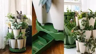 Growing Houseplants Indoors + NEW Product Coming Soon