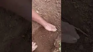 Metal Detecting in My Backyard | Unexpected Old Metal Finds!