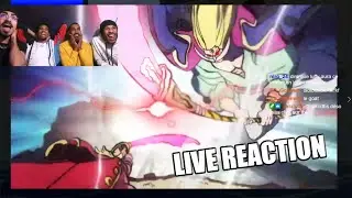 GOLD ROGER VS BARBE BLANCHE - ONE PIECE 965 LIVE REACTION FR - REDIFF LIVE