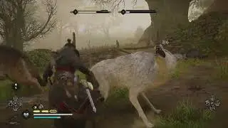 AC Valhalla l 3 Wolves/The Corpse Feeders Legendary Animals BOSS FIGHT!