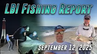 LBI Fishing Report 9/12/25 - Fishing Update, Bull Sharks & Striped Bass