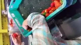 Strawberry Packing1 by FarmersUnited