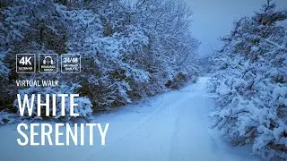 Winter Norway | A walk on a path in Trøndelag ❄️🌨️
