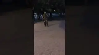 Новосибирск.   15/08/2016