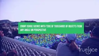 Trueface Visual Density - Crowd Counting AI