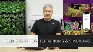 Felix Smart controller kit for terrariums and vivariums