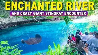 The ENCHANTED RIVER of Mindanao | Unreal Crystal-Clear Water, GIANT Stingray Surprise & MORE!!