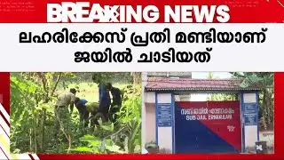തടവുകാരൻ ജയിൽ ചാടി..! എറണാകുളത്ത് ലഹരിക്കേസ് പ്രതിക്കായി തിരച്ചിൽ | Prison Escape | Sub Jail