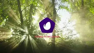 Flat Logo Animation | After Effects project | Videohive template