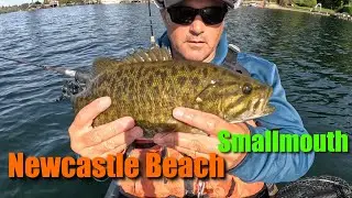 Lake Washington Smallmouth Bass Kayak Fishing Newcastle Beach Park & Enatai Beach Areas