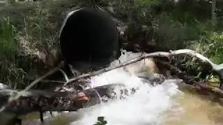 First Descent of Little Browns Creek