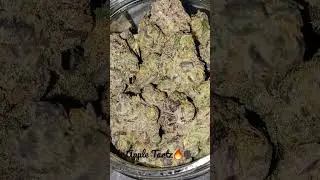 Apple Tartz Strain🔥