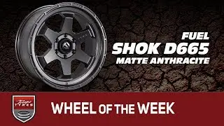 Wheel of the week: Fuel Shok D665