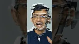 The 
