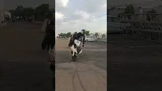 BMW G 310RR STUNT