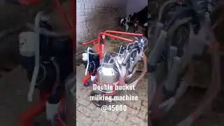 double bucket milking machine @45000.#milk machine#khoslatech#milk machine.