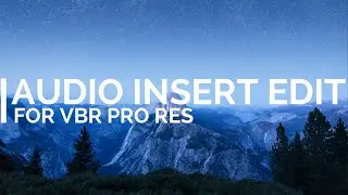 cineXinsert - audio only insert