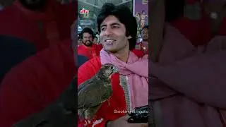 Coolie (1983) )_Best Shorts #amitabhbachchan #coolie #movieshorts #bollywoodshorts #shorts #amitabh