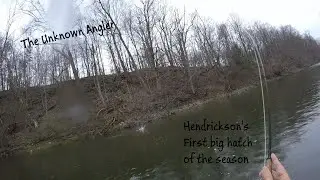 Hendrickson first big hatch of the season