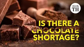 Will we face a chocolate shortage?